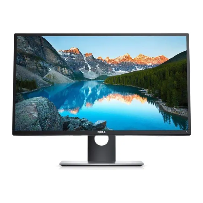 Dell P2417H 24 Inches 60 Hz IPS LCD Monitor